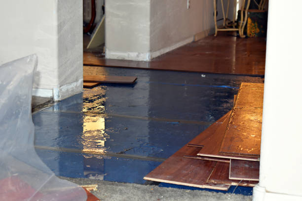 Professional Basement Water Removal technician working in Gibson, AR