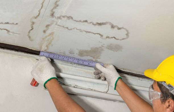 Reliable Basement Water Removal contractor in Gibson, AR by Water Damage Irwin